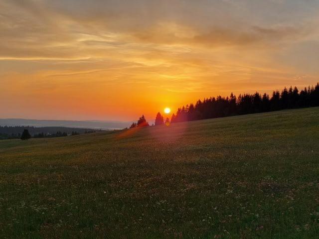 Landgasthof Neitsch Schwarzenberg  Exterior foto