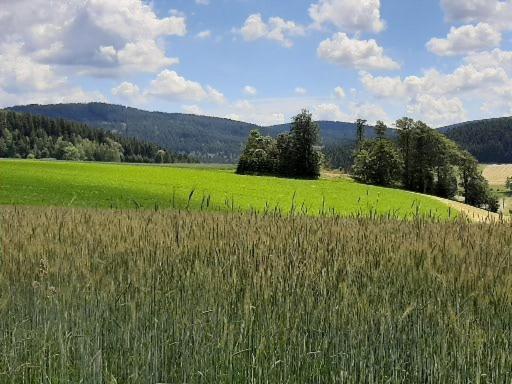 Landgasthof Neitsch Schwarzenberg  Exterior foto